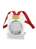 MEDAILLE ARGENT