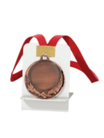 MEDAILLE BRONZE